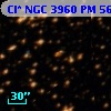 Cl* NGC 3960     PM      56