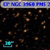 Cl* NGC 3960    PMS   25270
