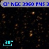Cl* NGC 3960    PMS  302027