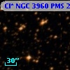 Cl* NGC 3960    PMS   22431