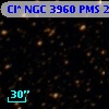 Cl* NGC 3960    PMS   25975
