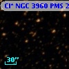 Cl* NGC 3960    PMS   24374