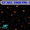 Cl* NGC 3960    PMS   26046
