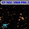 Cl* NGC 3960    PMS   23883