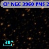 Cl* NGC 3960    PMS   25017