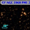 Cl* NGC 3960    PMS   24673
