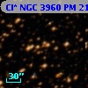 Cl* NGC 3960     PM      21