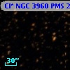 Cl* NGC 3960    PMS   24933