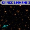 Cl* NGC 3960    PMS   25665
