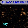 Cl* NGC 3960    PMS   25651