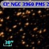 Cl* NGC 3960    PMS   21952