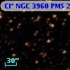 Cl* NGC 3960    PMS   21521