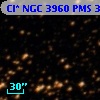 Cl* NGC 3960    PMS  301398