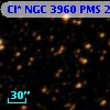 Cl* NGC 3960    PMS   21958