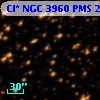 Cl* NGC 3960    PMS   24356