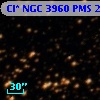 Cl* NGC 3960    PMS   22501