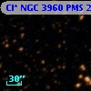 Cl* NGC 3960    PMS   20542