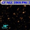 Cl* NGC 3960    PMS   21753
