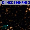 Cl* NGC 3960    PMS   24744