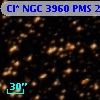 Cl* NGC 3960    PMS   25188