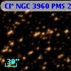 Cl* NGC 3960    PMS   20558