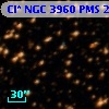 Cl* NGC 3960    PMS   25513