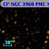 Cl* NGC 3960    PMS  301899