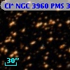 Cl* NGC 3960    PMS  301058