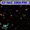 Cl* NGC 3960    PMS   24937