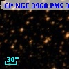 Cl* NGC 3960    PMS  300680