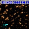 Cl* NGC 3960     PM      53