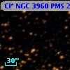 Cl* NGC 3960    PMS   24924
