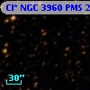 Cl* NGC 3960    PMS   25515