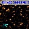 Cl* NGC 3960    PMS   20727