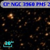 Cl* NGC 3960    PMS   21198