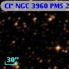 Cl* NGC 3960    PMS   20781