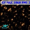 Cl* NGC 3960    PMS   22425