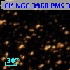 Cl* NGC 3960    PMS  301430