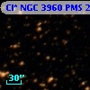 Cl* NGC 3960    PMS   20674