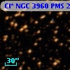 Cl* NGC 3960    PMS   25828