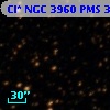Cl* NGC 3960    PMS  301933
