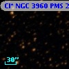 Cl* NGC 3960    PMS   26131