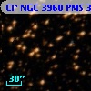 Cl* NGC 3960    PMS  301097