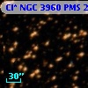 Cl* NGC 3960    PMS   25024