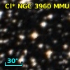 Cl* NGC 3960    MMU      41