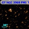 Cl* NGC 3960    PMS  300198