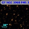 Cl* NGC 3960    PMS    3247