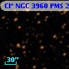 Cl* NGC 3960    PMS   23459