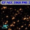 Cl* NGC 3960    PMS   21877