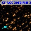 Cl* NGC 3960    PMS   24497